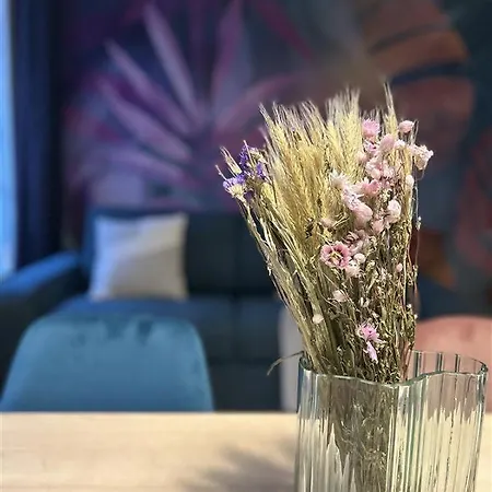 아파트 Cosy - Quartier Saint-georges - 4p *